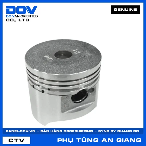 PISTON TIÊU CHUẨN (0.00) — 13101GN5912