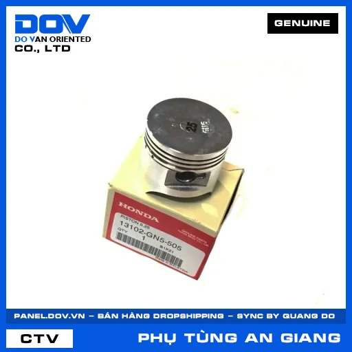Piston cốt 1 (0.25) — 13102GN5505