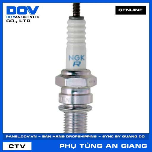 (G2) BUGI (DPR8EA-9)(NGK) — 9806958916