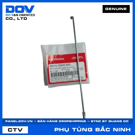 Nan hoa trước ngoài A11x183.5 WAVE ALPHA, WAVE RSX 110 — 06441KWWB30
