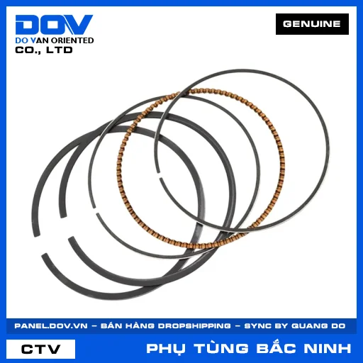 BỘ XÉC MĂNG TIÊU CHUẨN CB300R, REBEL 300 — 13010KYJ305