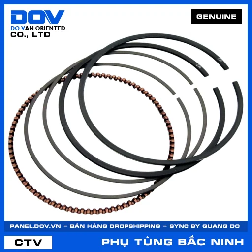 BỘ XÉC MĂNG AIR BLADE 125/160, LEAD 125, SH 125/150, SH 125/160 — 13011K0R305