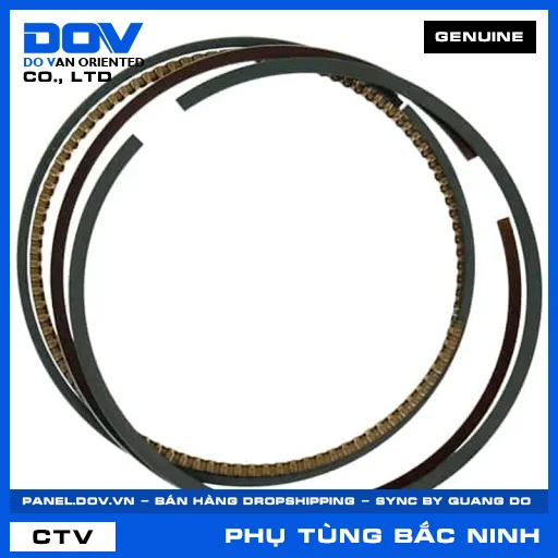 BỘ XÉC MĂNG CỐT 1 (0.25) AIR BLADE 125/160, PCX 160, VARIO 160 — 13021K1Z305