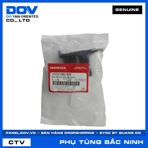 NẮP CHẮN BỤI PHẢI HỘP LỌC KHÍ (lọc gió) SUPER DREAM — 17233GBGB20