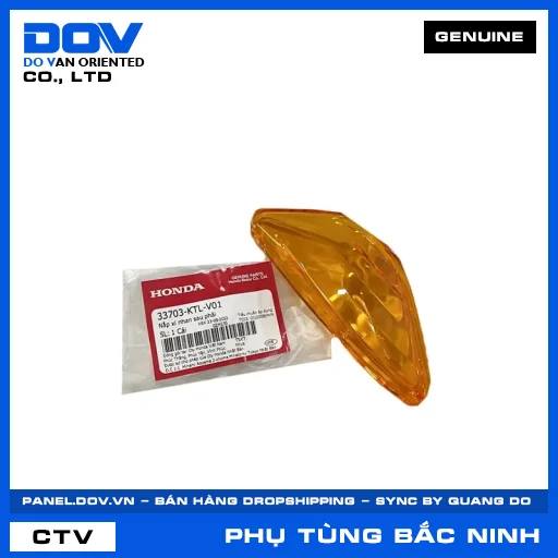 NẮP XI NHAN SAU PHẢI (đèn báo rẽ) — 33703KTLV01