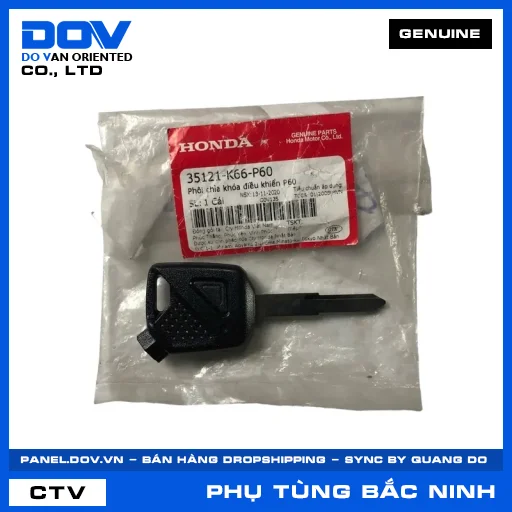 PHÔI CHÌA KHÓA ĐIỀU KHIỂN P60 — 35121K66P60