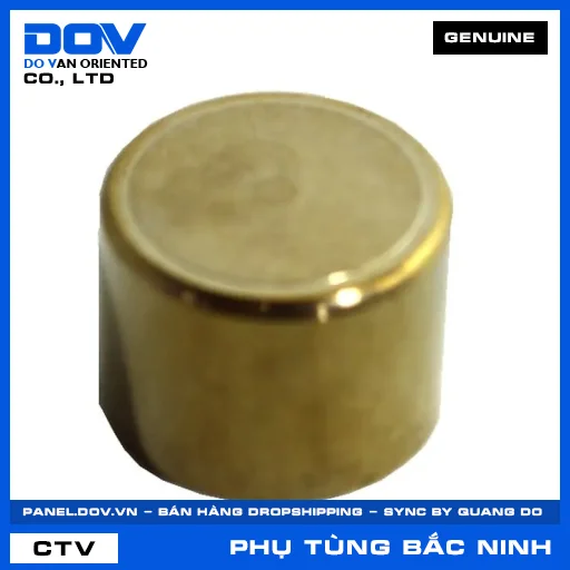 PISTON 34 — 45118K59A71