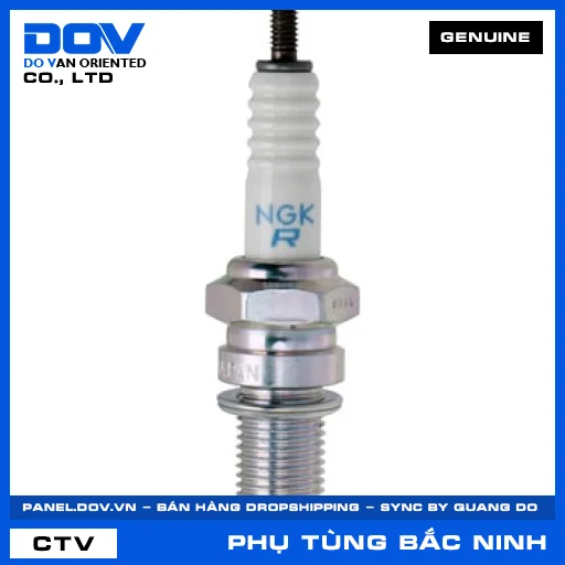 (G2) BUGI (DPR8EA-9)(NGK) — 9806958916