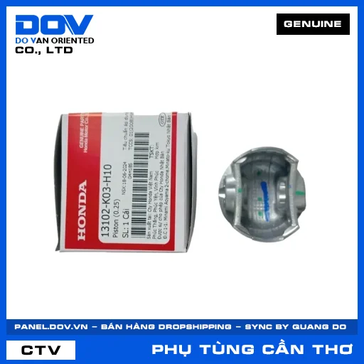 PISTON (0.25) WAVE RSX 110 — 13102K03H10
