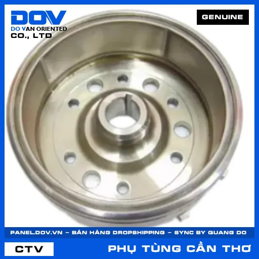 BÁNH ĐÀ VÔ LĂNG ĐIỆN — 31110K53D01