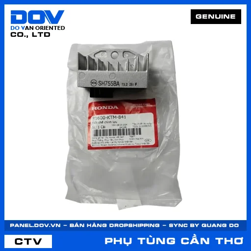 TIẾT CHẾ CHỈNH LƯU FUTURE NEO — 31600KTM841