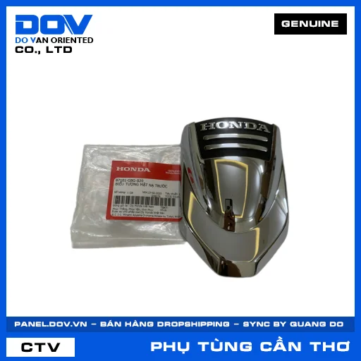 BIỂU TƯỢNG MẶT NẠ TRƯỚC DREAM — 87101GBGB20