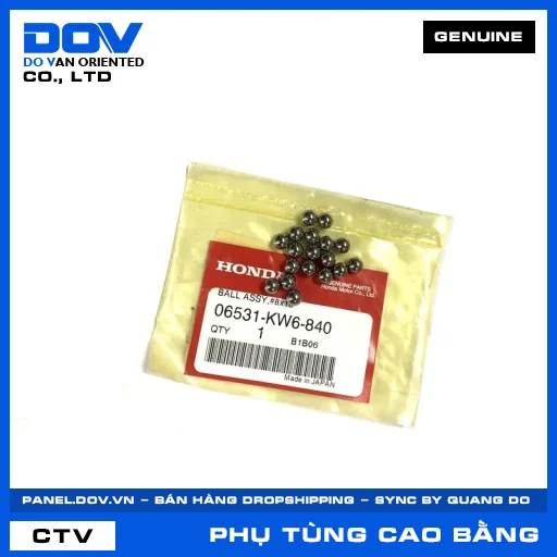 BỘ BI PHUỐC #8X18 CB300R — 06531KW6840