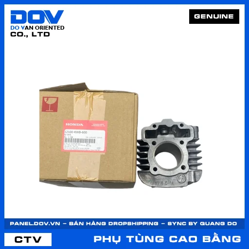 XY LANH — 12100KWB600