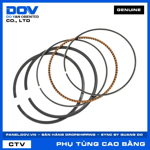 BỘ XÉC MĂNG TIÊU CHUẨN CB300R, REBEL 300 — 13010KYJ305