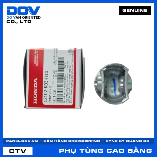 PISTON (0.25) WAVE RSX 110 — 13102K03H10