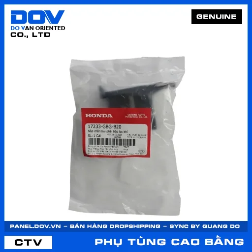 NẮP CHẮN BỤI PHẢI HỘP LỌC KHÍ (lọc gió) SUPER DREAM — 17233GBGB20