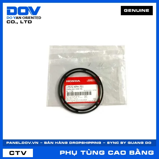 GIOĂNG BƠM NHIÊN LIỆU — 17572KPH701