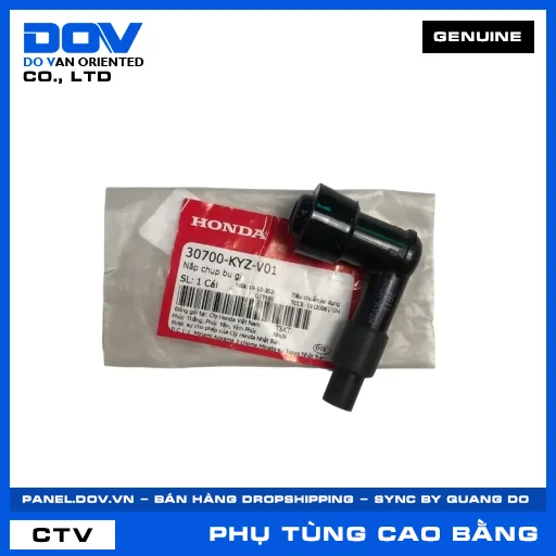NẮP CHỤP BU GI — 30700KYZV01