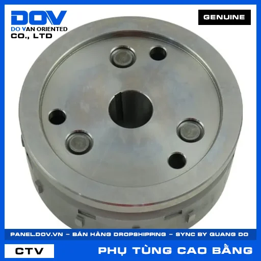 BÁNH ĐÀ VÔ LĂNG ĐIỆN — 31110K2PVE1