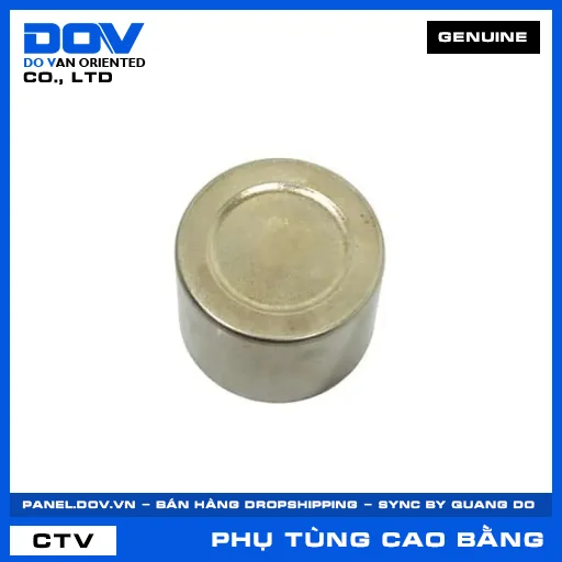 PISTON PHANH DẦU (thắng) AIR BLADE 125/150, AIR BLADE 125/160, BLADE 110, FUTURE 125 — 45218KWB601