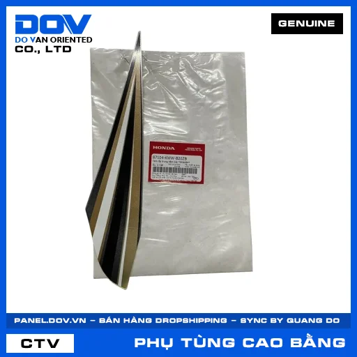 TEM ỐP TRUNG TÂM TRÁI *NHA69P* WAVE RSX 110 — 87104KWWB20ZB