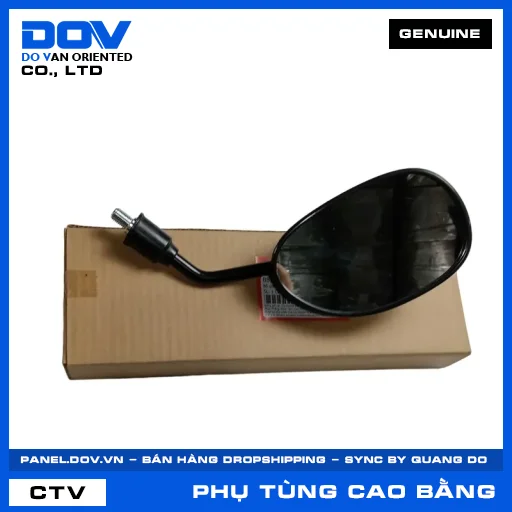 BỘ GƯƠNG TRÁI (kiếng) — 88120K03M60