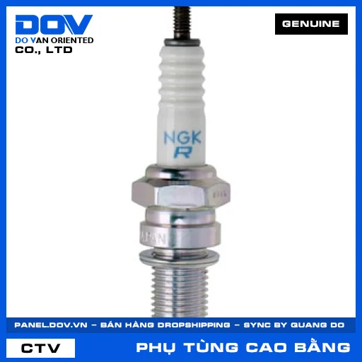 (G2) BUGI (DPR8EA-9)(NGK) — 9806958916