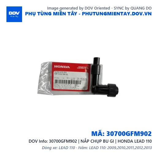 30700GFM902 | NẮP CHỤP BU GI | HONDA LEAD 110 — 30700GFM902