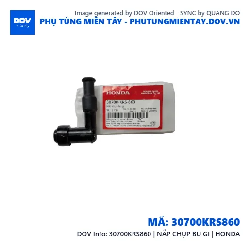30700KRS860 | NẮP CHỤP BU GI | HONDA — 30700KRS860