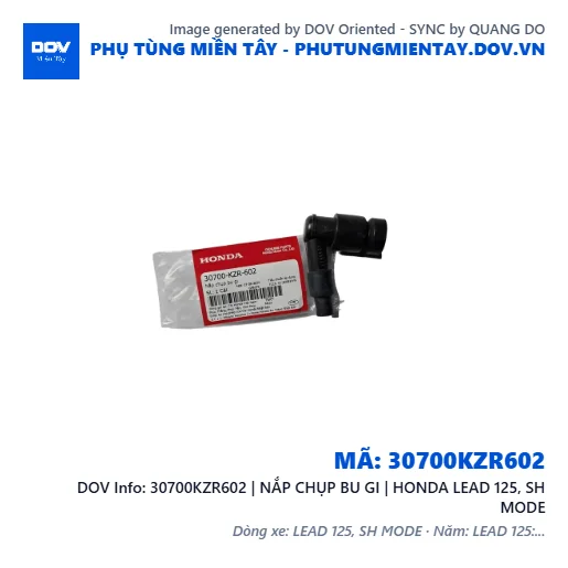 30700KZR602 | NẮP CHỤP BU GI | HONDA LEAD 125, SH MODE — 30700KZR602